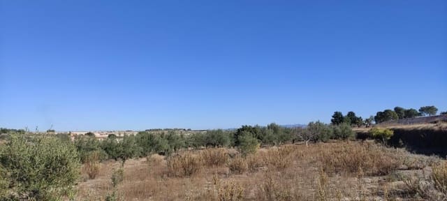 Finca/Country House for sale in Agullent - € 50,000 (Ref: 7894528)