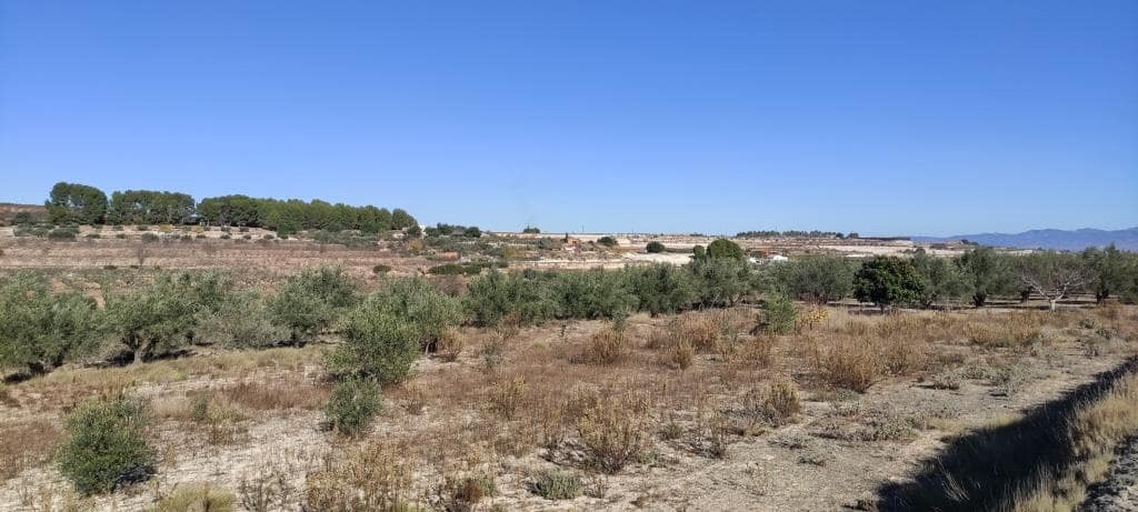 Finca/Landehus til salg i Agullent - € 50.000 (Ref: 7894528)