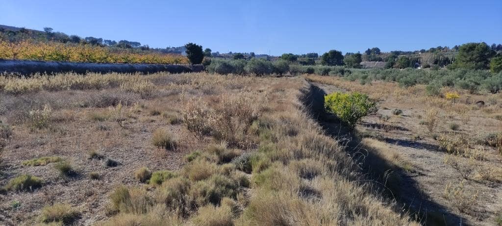 Finca/Landehus til salg i Agullent - € 50.000 (Ref: 7894528)