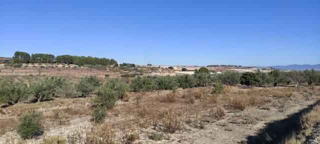 Finca/Country House for sale in Agullent - € 50,000 (Ref: 7894528)