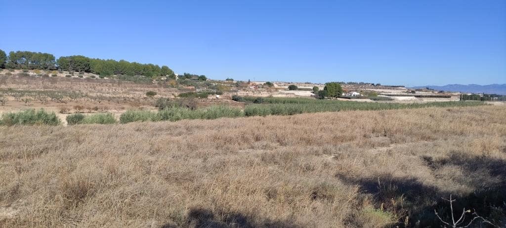 Finca/Landehus til salg i Agullent - € 50.000 (Ref: 7894528)