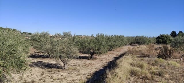 Finca/Country House for sale in Agullent - € 50,000 (Ref: 7894528)