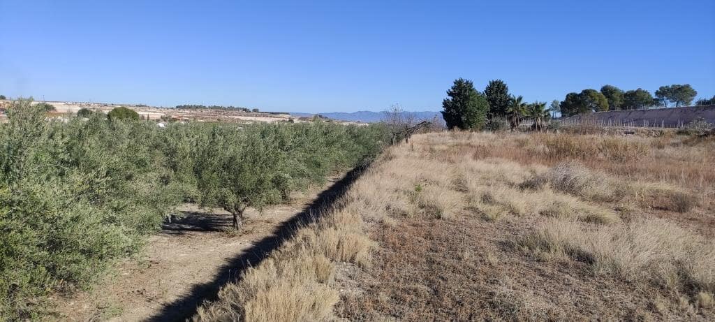 Finca/Landehus til salg i Agullent - € 50.000 (Ref: 7894528)