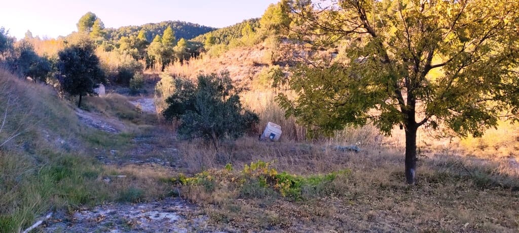 4 soverom Finca/Herregård til salgs i Alcoy / Alcoi med svømmebasseng garasje - € 260 000 (Ref: 7913671)