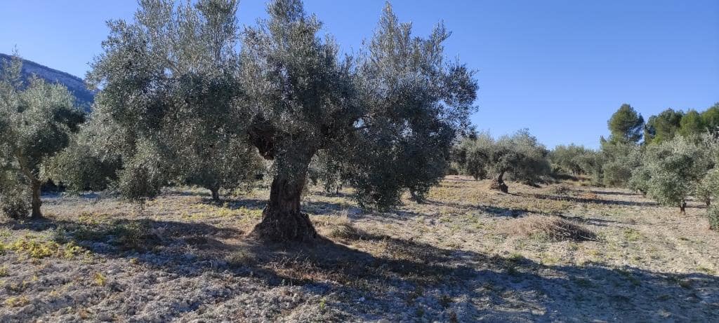 3 soveværelse Finca/Landehus til salg i Bocairent med swimmingpool garage - € 250.000 (Ref: 7990359)