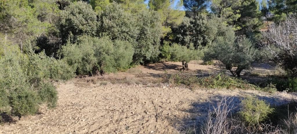 3 soveværelse Finca/Landehus til salg i Bocairent med swimmingpool garage - € 250.000 (Ref: 7990359)