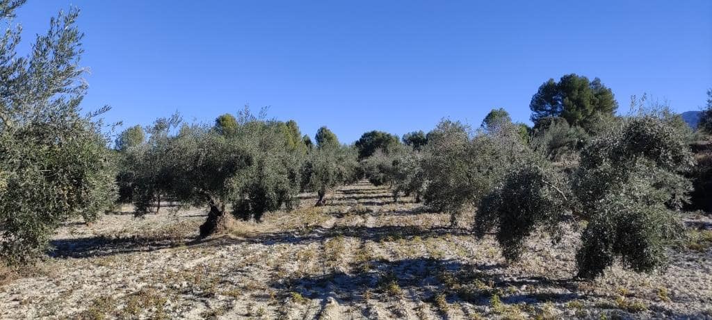 3 soveværelse Finca/Landehus til salg i Bocairent med swimmingpool garage - € 250.000 (Ref: 7990359)