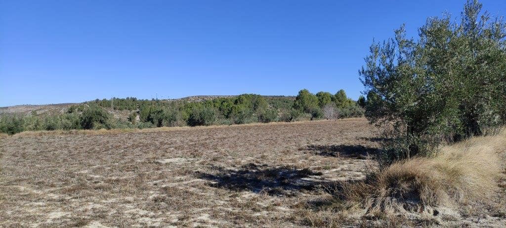 3 soveværelse Finca/Landehus til salg i Bocairent med swimmingpool garage - € 250.000 (Ref: 7990359)