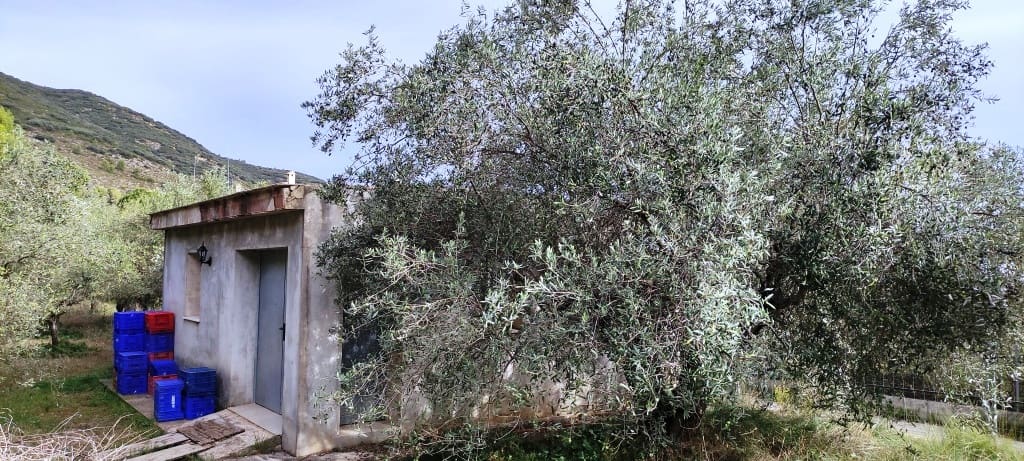 3 slaapkamer Finca/Landhuis te koop in Villalonga met garage - € 149.000 (Ref: 8018133)