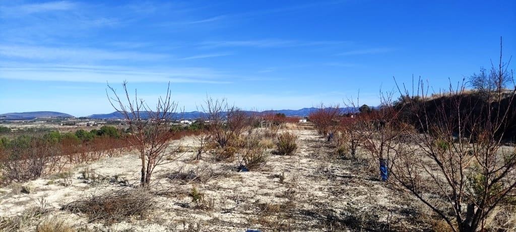 Byggegrund til salg i Bufali - € 49.000 (Ref: 8053637)