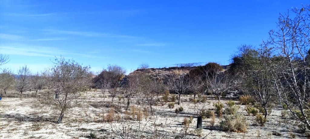 Byggegrund til salg i Bufali - € 49.000 (Ref: 8053637)