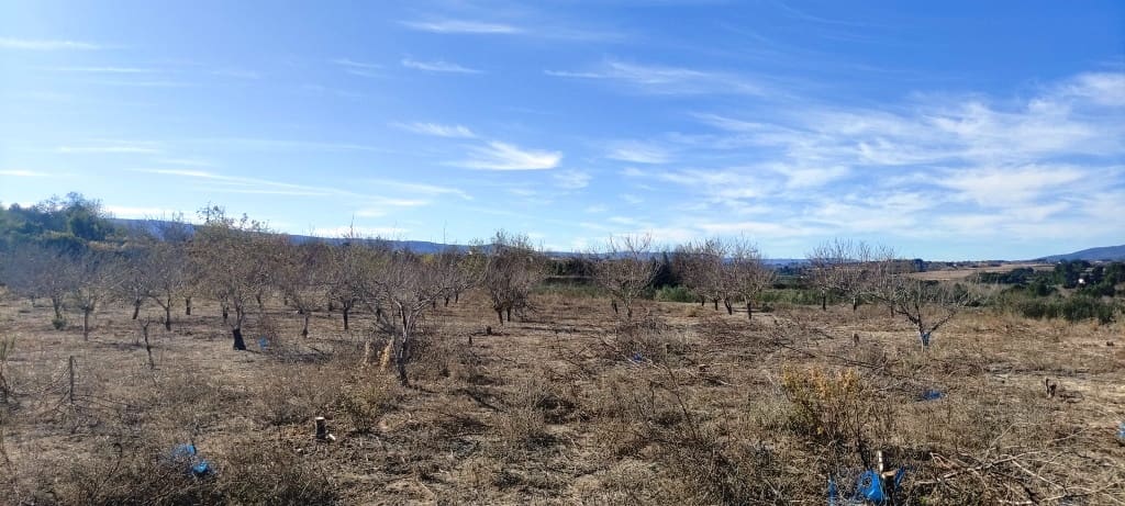 Byggegrund til salg i Bufali - € 49.000 (Ref: 8053637)