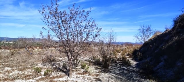 Tomt till salu i Bufalí - 49 000 € (Ref: 8053637)