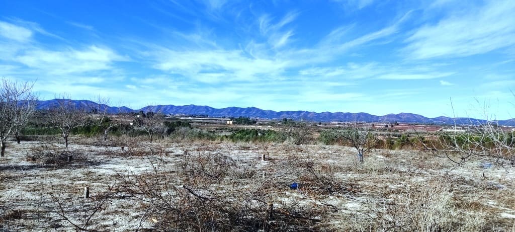 Byggegrund til salg i Bufali - € 49.000 (Ref: 8053637)