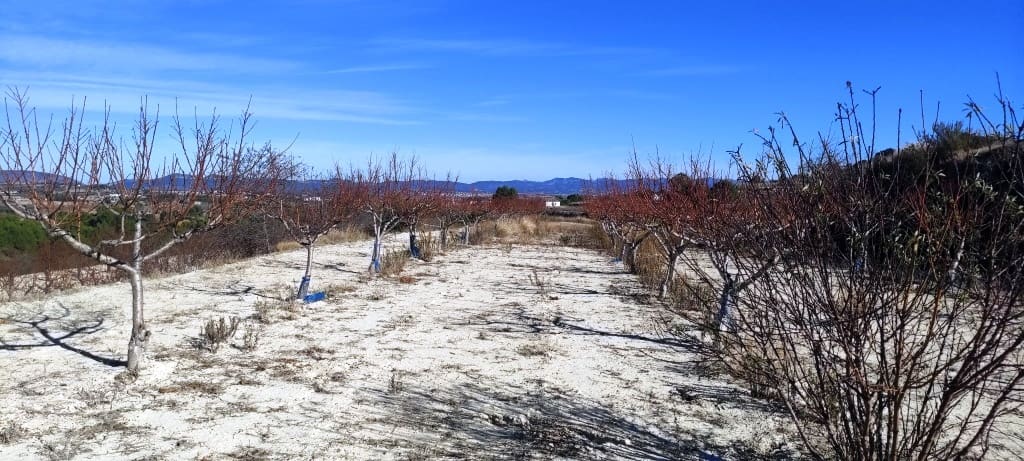 Byggegrund til salg i Bufali - € 49.000 (Ref: 8053637)