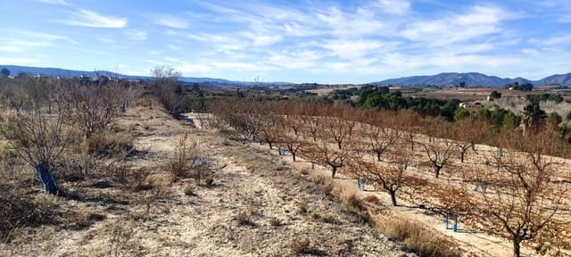 Tomt till salu i Bufalí - 49 000 € (Ref: 8053637)