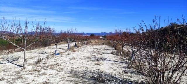 Tomt till salu i Bufalí - 49 000 € (Ref: 8053637)