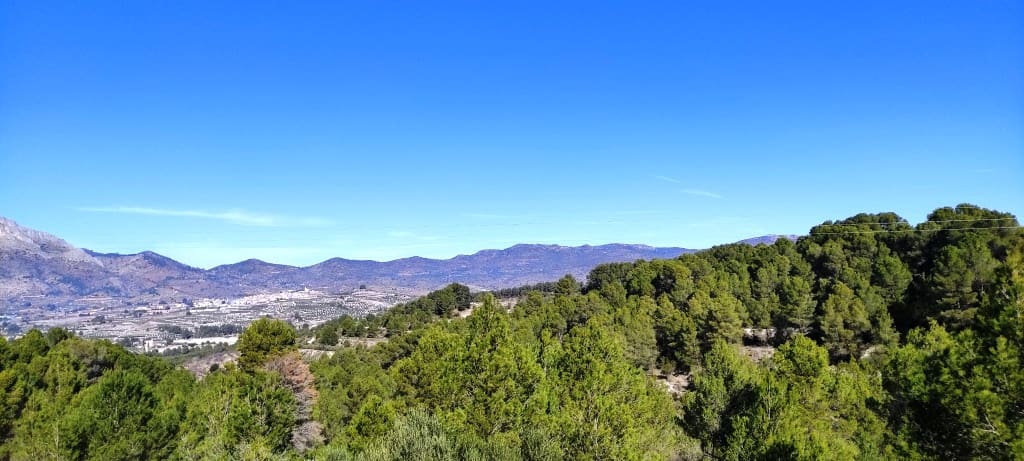 8 Zimmer Finca/Landgut zu verkaufen in Planes mit Pool Garage - 450.000 € (Ref: 8121263)