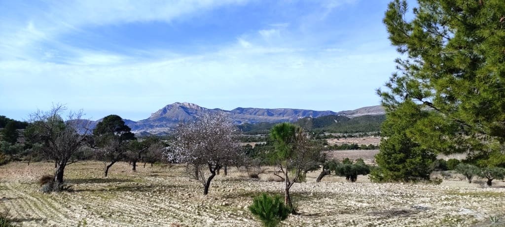 11 soverom Finca/Herregård til salgs i Torremanzanas med garasje - € 990 000 (Ref: 8135679)