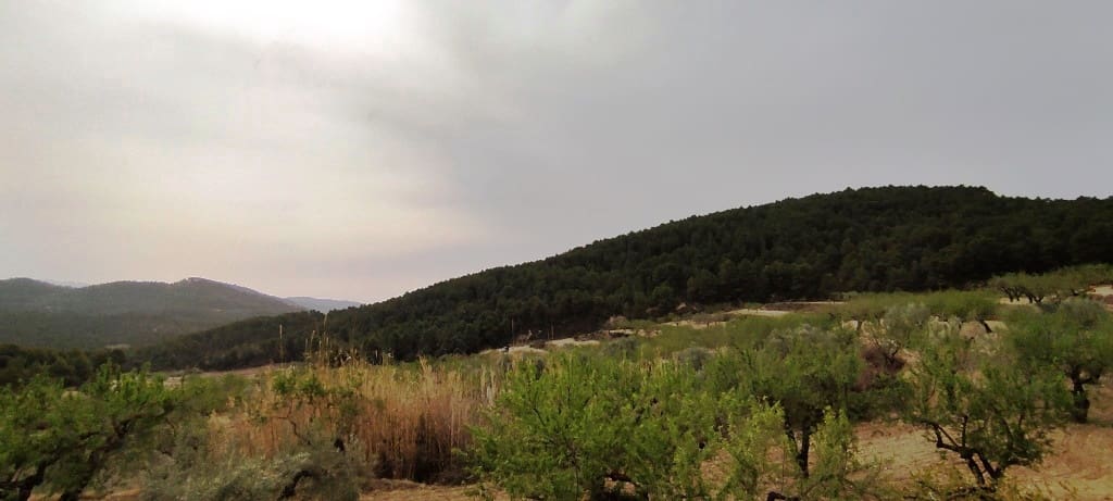 3 soveværelse Finca/Landehus til salg i Penaguila - € 159.000 (Ref: 8220340)