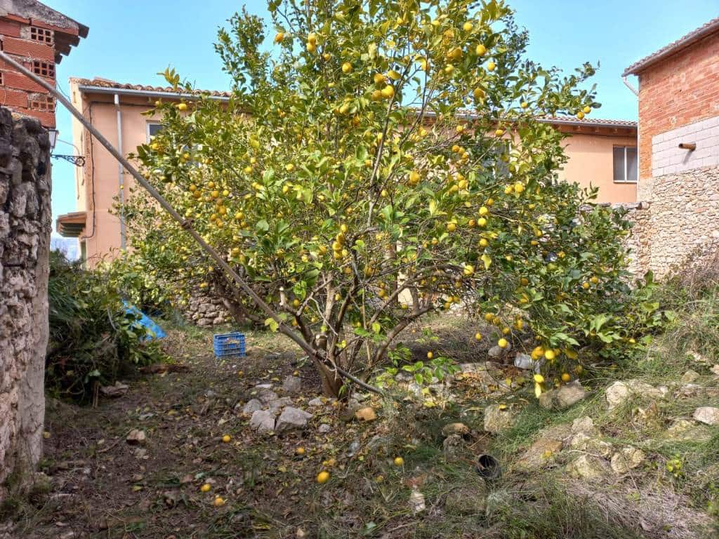 1 soveværelse Byhus til salg i Planes - € 39.000 (Ref: 8251395)