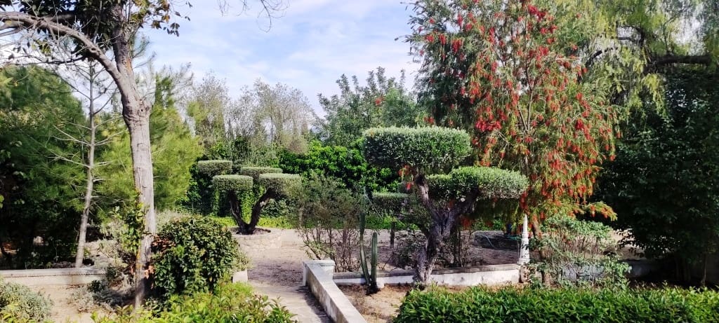 3 soveværelse Finca/Landehus til salg i Muro de Alcoy med swimmingpool - € 238.000 (Ref: 8251396)