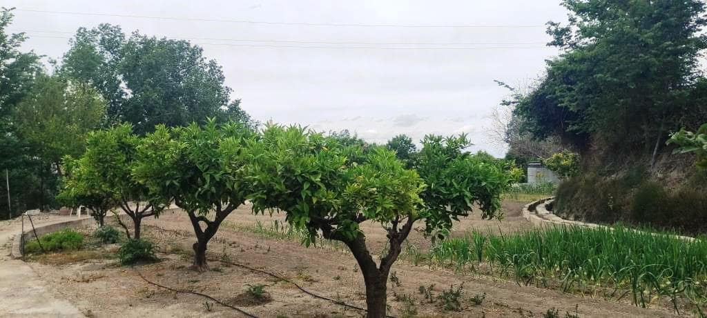 7 soveværelse Finca/Landehus til salg i Albaida med swimmingpool garage - € 250.000 (Ref: 8284085)