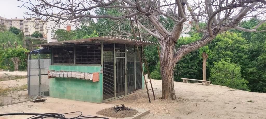 7 soveværelse Finca/Landehus til salg i Albaida med swimmingpool garage - € 250.000 (Ref: 8284085)