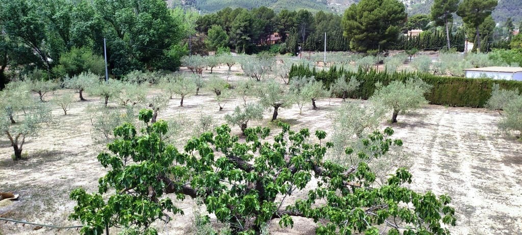 7 soveværelse Villa til salg i Cocentaina med swimmingpool garage - € 580.000 (Ref: 8288422)