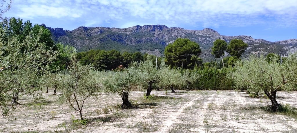 7 soveværelse Villa til salg i Cocentaina med swimmingpool garage - € 580.000 (Ref: 8288422)