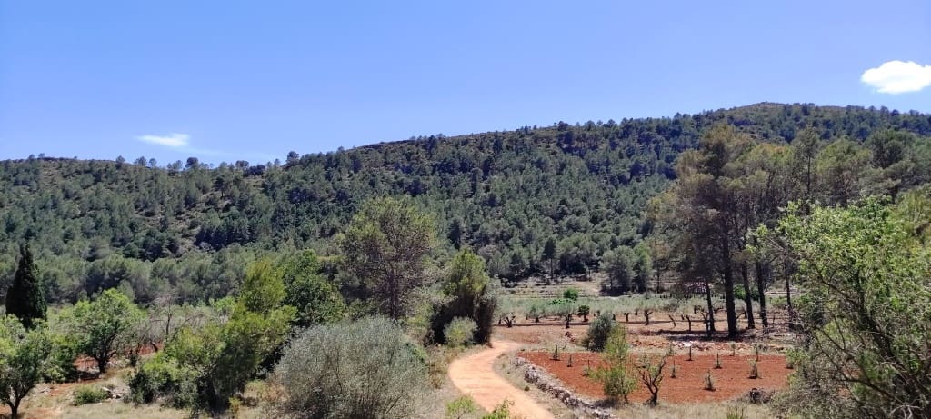 3 slaapkamer Finca/Landhuis te koop in Villalonga - € 120.000 (Ref: 8342379)