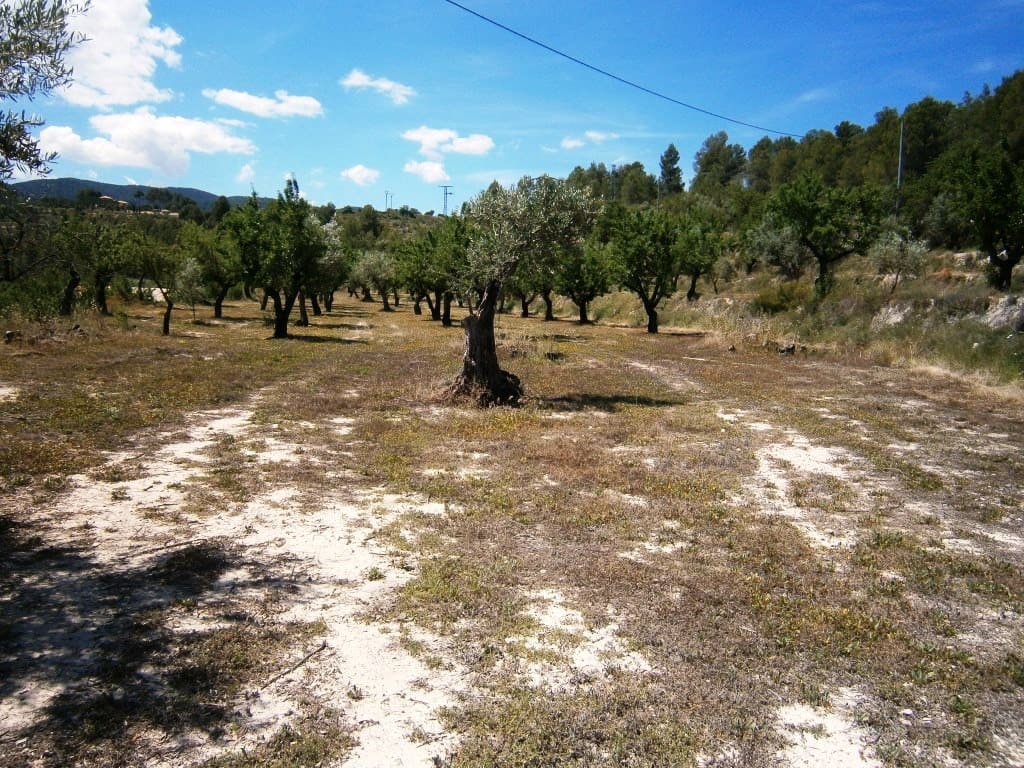 Finca/Hus på landet till salu i Penaguila - 100 000 € (Ref: 8433061)