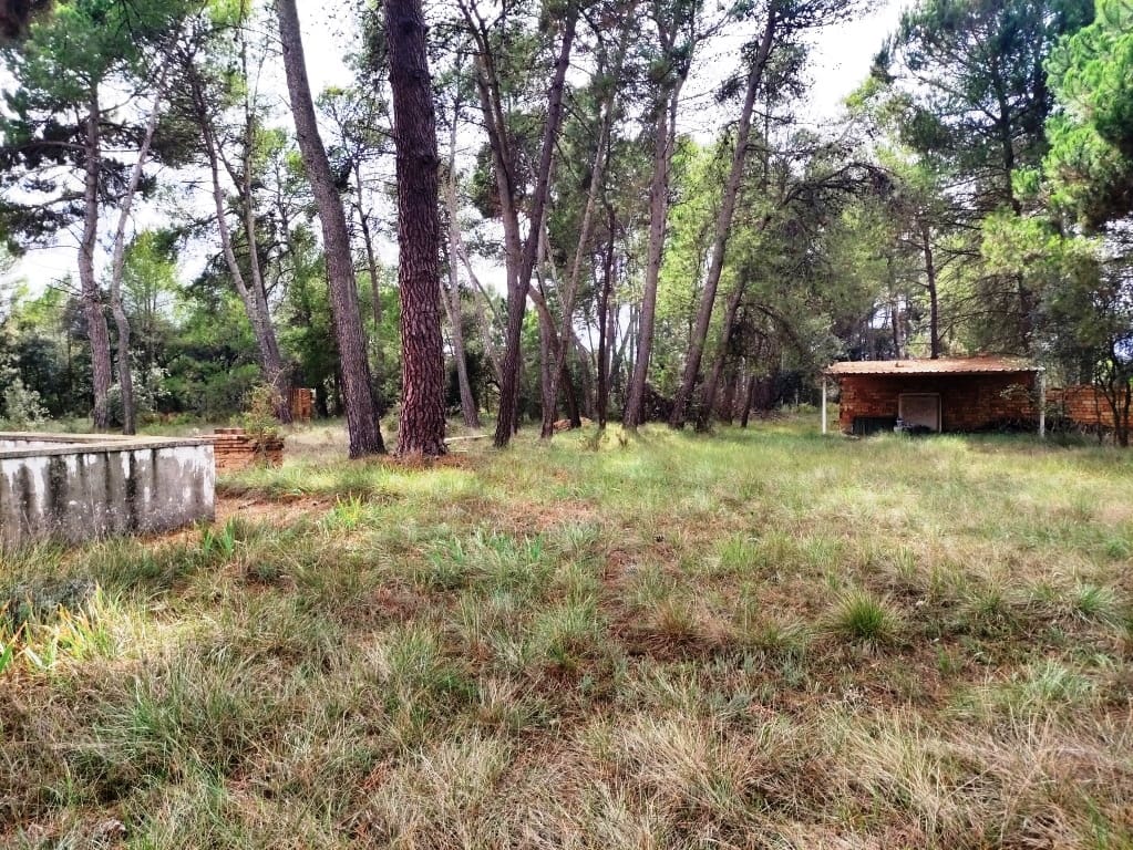 3 soveværelse Finca/Landehus til salg i Bocairent med swimmingpool - € 99.000 (Ref: 8539300)