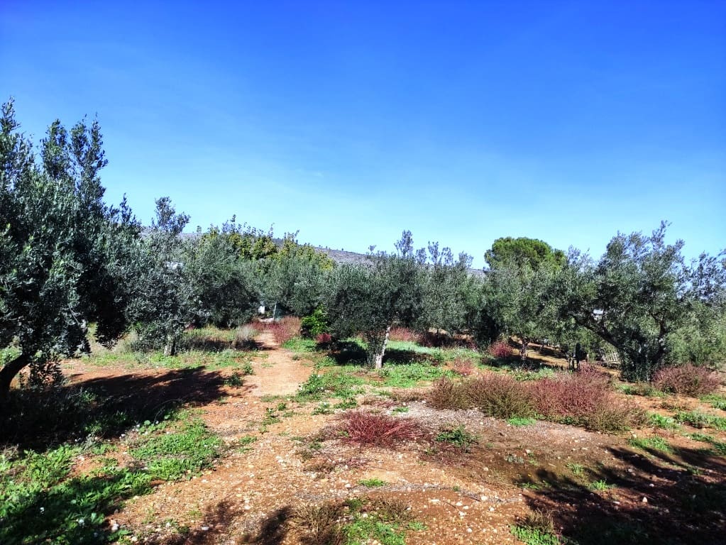 4 soverom Finca/Herregård til salgs i Ontinyent - € 122 000 (Ref: 8657907)