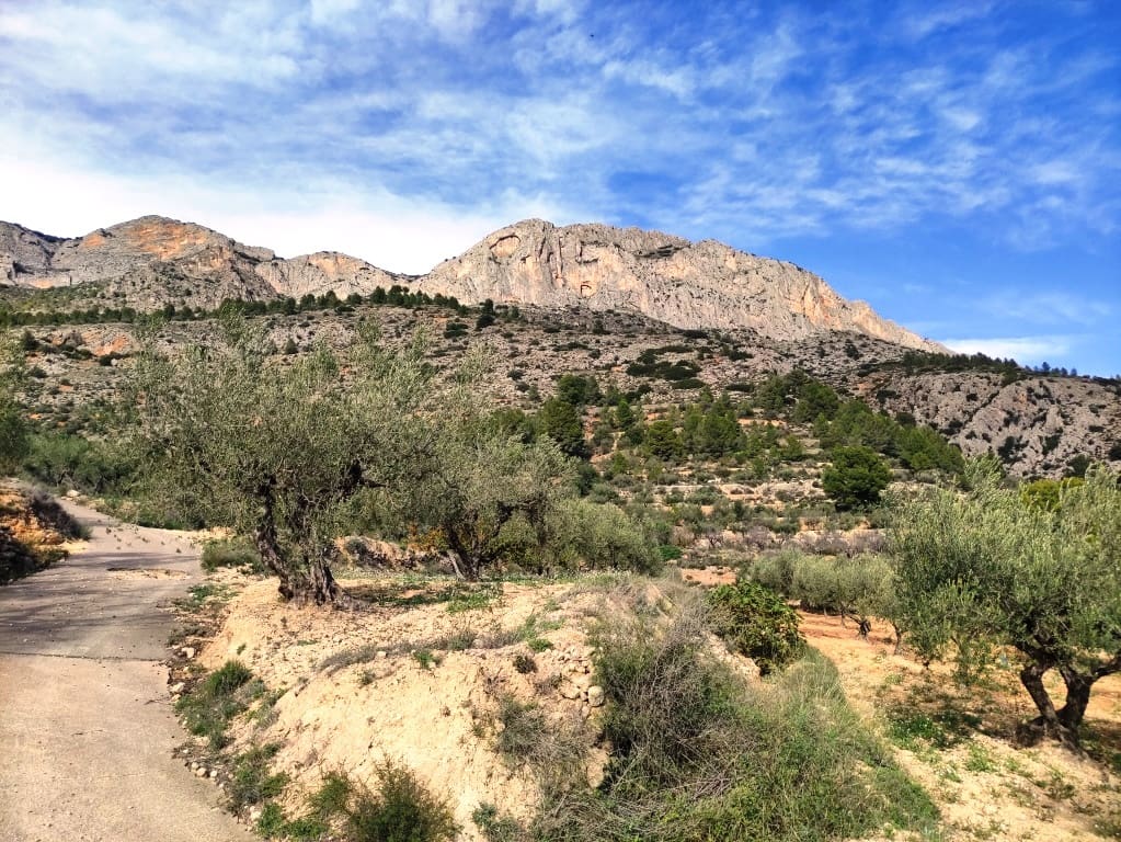 3 soverom Finca/Herregård til salgs i Gaianes med svømmebasseng - € 350 000 (Ref: 8658850)