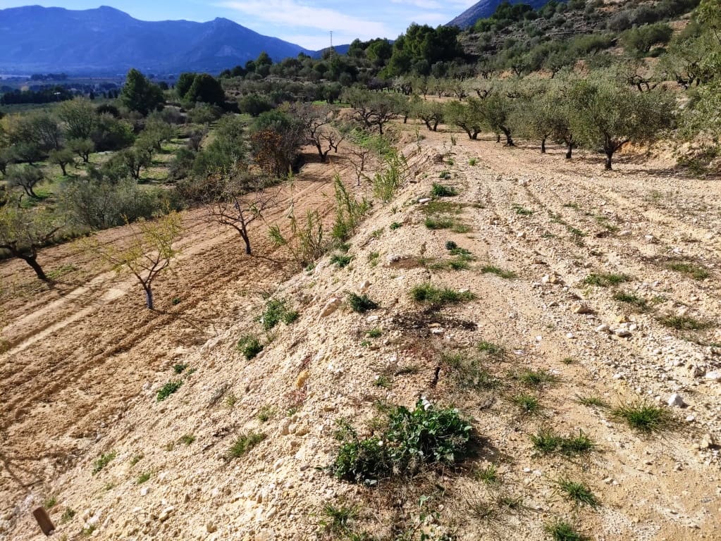 3 soverom Finca/Herregård til salgs i Gaianes med svømmebasseng - € 350 000 (Ref: 8658850)