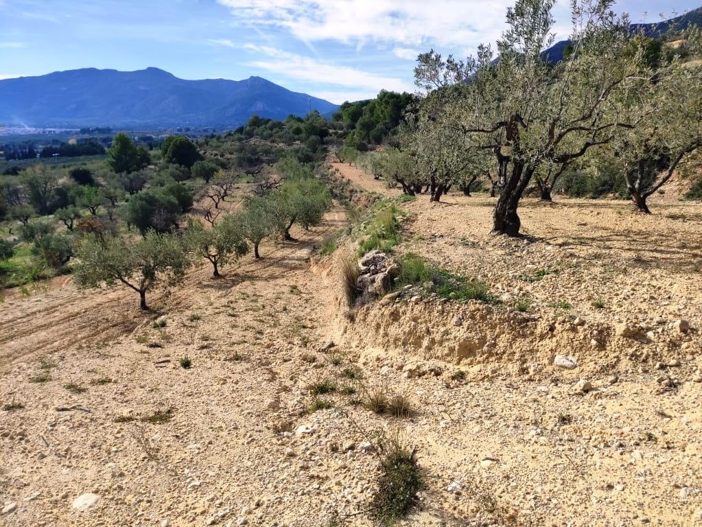 3 soverom Finca/Herregård til salgs i Gaianes med svømmebasseng - € 350 000 (Ref: 8658850)