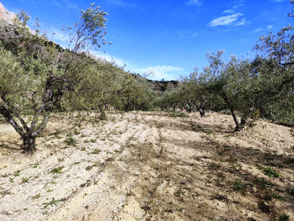 3 soverom Finca/Herregård til salgs i Gaianes med svømmebasseng - € 350 000 (Ref: 8658850)