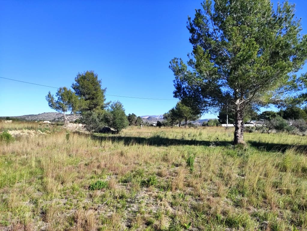 Byggetomt til salgs i Benissa - € 230 000 (Ref: 8748326)