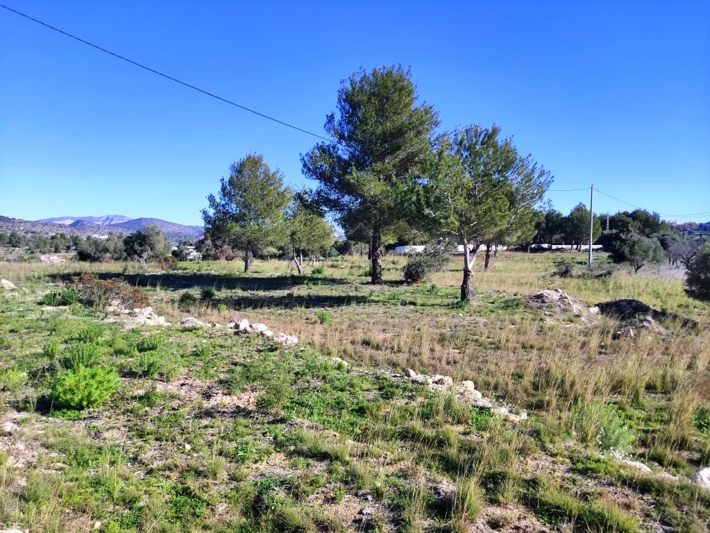 Byggetomt til salgs i Benissa - € 230 000 (Ref: 8748326)