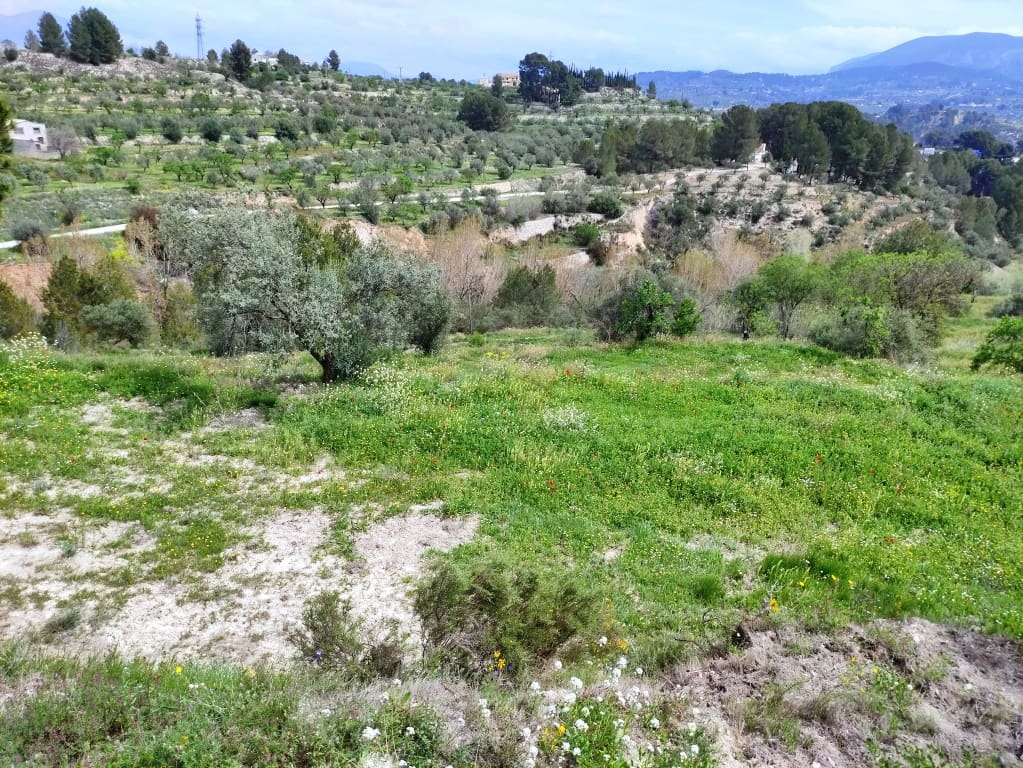 4 soveværelse Finca/Landehus til salg i Cocentaina med garage - € 330.000 (Ref: 8932507)