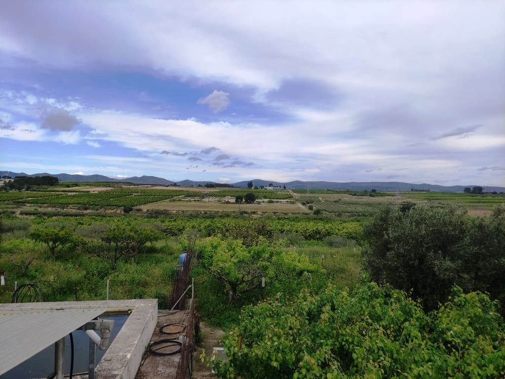 3 soveværelse Finca/Landehus til salg i Albaida med swimmingpool - € 110.000 (Ref: 8939702)