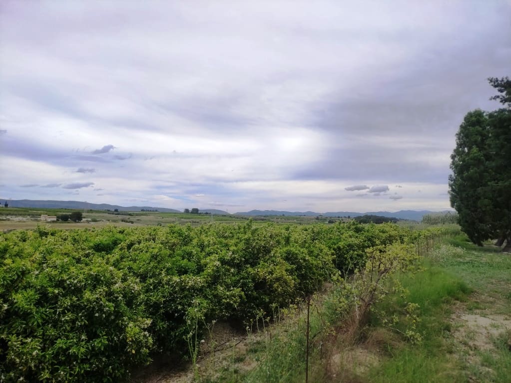 3 soveværelse Finca/Landehus til salg i Albaida med swimmingpool - € 110.000 (Ref: 8939702)