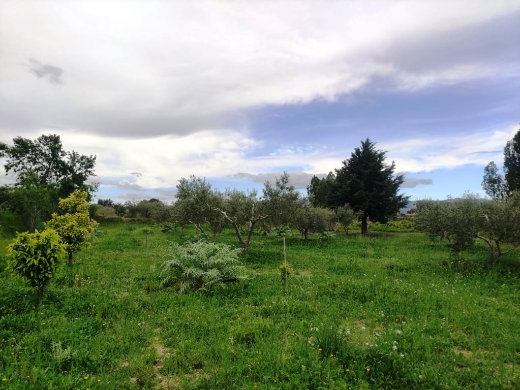 3 soveværelse Finca/Landehus til salg i Albaida med swimmingpool - € 110.000 (Ref: 8939702)