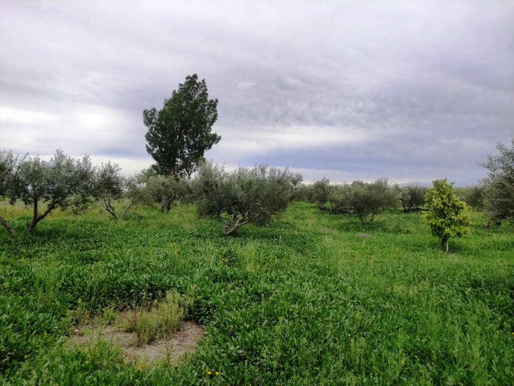 3 soveværelse Finca/Landehus til salg i Albaida med swimmingpool - € 110.000 (Ref: 8939702)