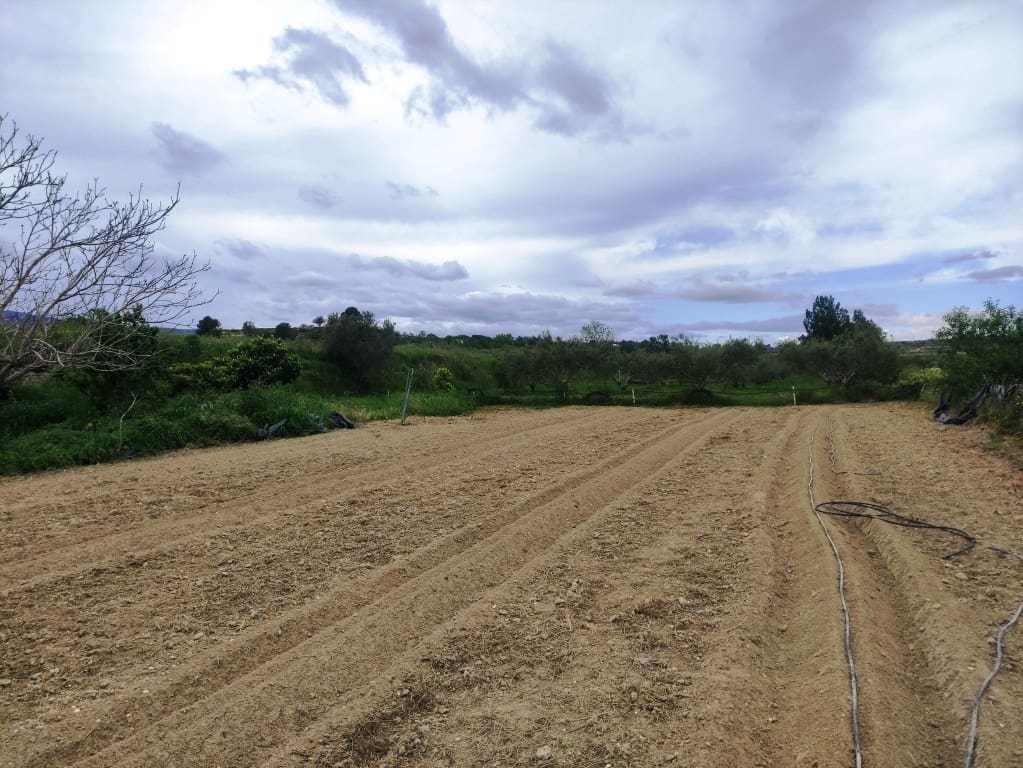 3 soveværelse Finca/Landehus til salg i Albaida med swimmingpool - € 110.000 (Ref: 8939702)