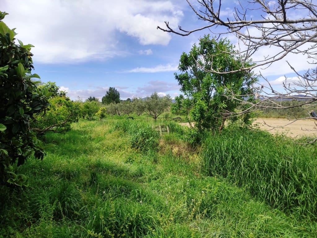 3 soveværelse Finca/Landehus til salg i Albaida med swimmingpool - € 110.000 (Ref: 8939702)