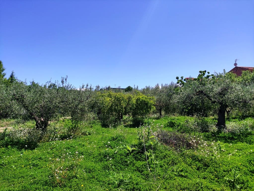 4 sovrum Finca/Hus på landet till salu i Cocentaina med pool garage - 250 000 € (Ref: 8945669)