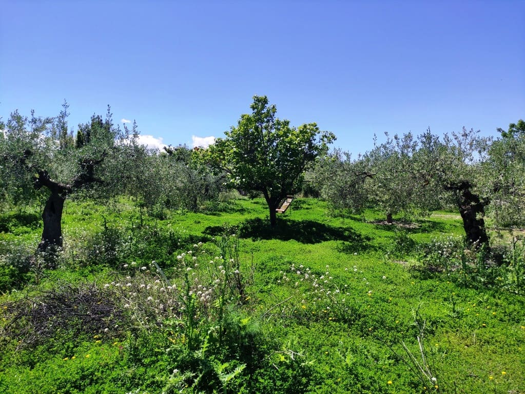 4 sovrum Finca/Hus på landet till salu i Cocentaina med pool garage - 250 000 € (Ref: 8945669)