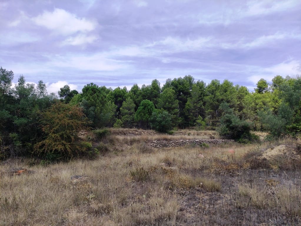 2 soveværelse Finca/Landehus til salg i Bocairent - € 125.000 (Ref: 9065590)